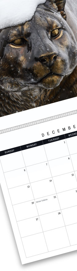 MAY 2026 WSM CALENDAR